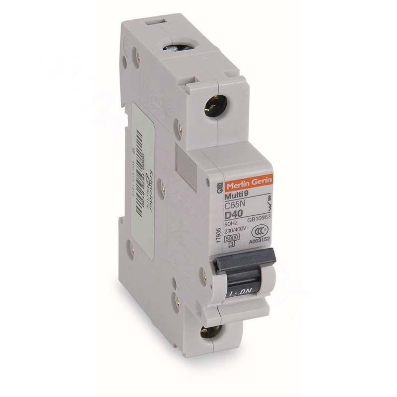 Schneider Compact Circuit Breaker Model BR24BPG for Safety